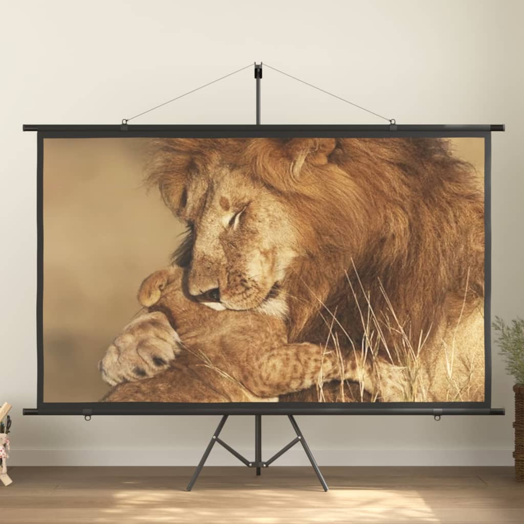 vidaXL vetítővászon 100" 16:9