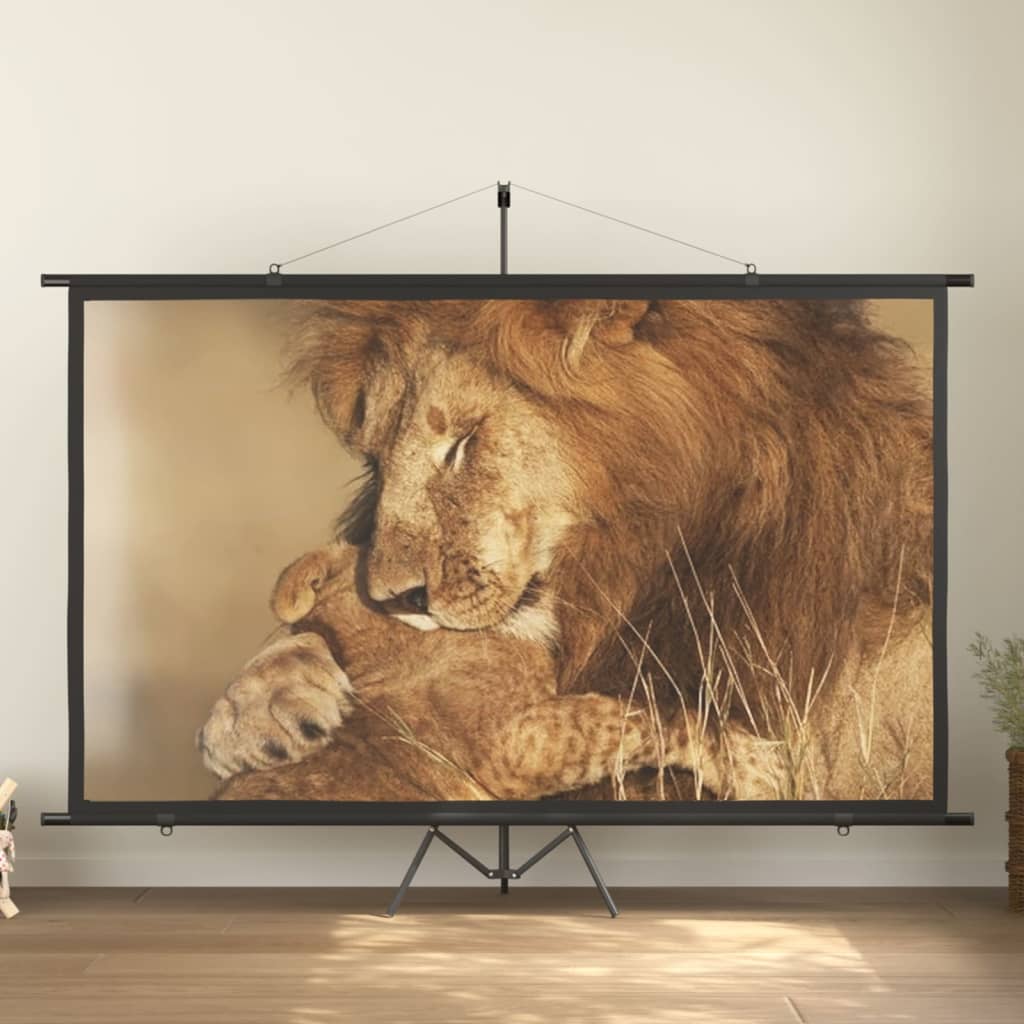 vidaXL vetítővászon 120" 16:9